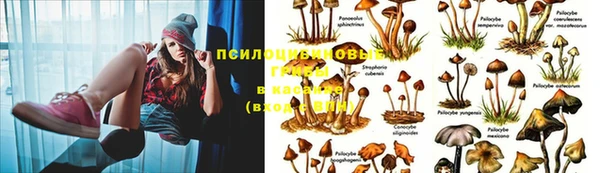 спиды Абинск