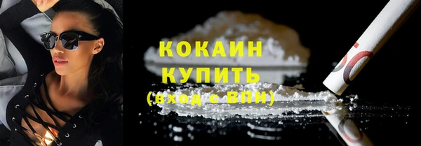 гашик Осташков