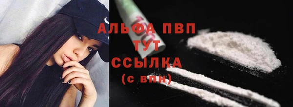 гашик Осташков