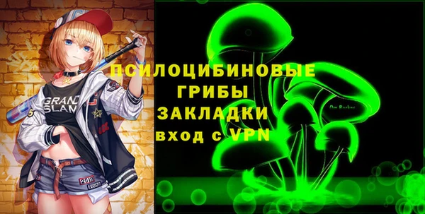 гашик Осташков