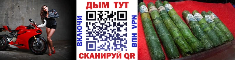 omg как зайти  Чекалин  МАРИХУАНА Ganja  наркота 
